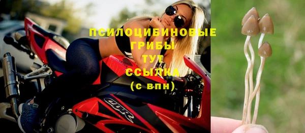 мет Магас