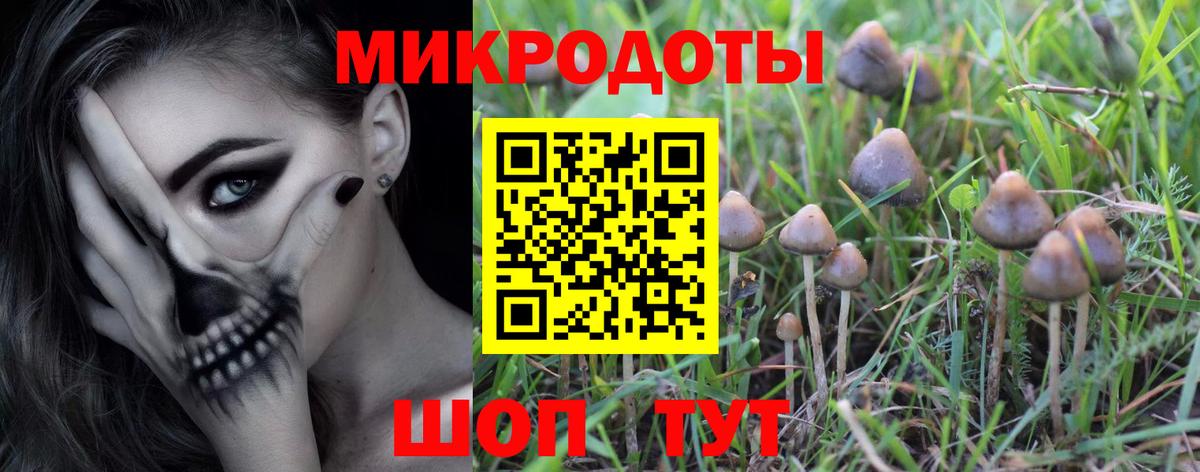 Псилоцибиновые грибы Cubensis Троицк