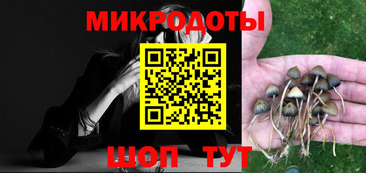 продажа наркотиков  Псилоцибиновые грибы MAGIC MUSHROOMS  Вход с VPN  Троицк 